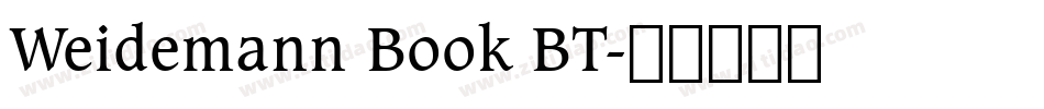 Weidemann Book BT字体转换